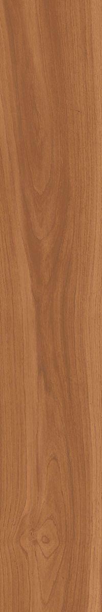 YJI212B490 帕蒂亞